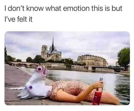 Person wearing a unicorn mask lying by a river with a bottle of wine, captioned 'I don’t know what emotion this is but I’ve felt it