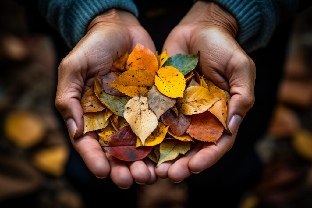 Close-up of hands holding colorful autumn leaves, signifying the connection to nature and the gratitude celebrated during Mabon