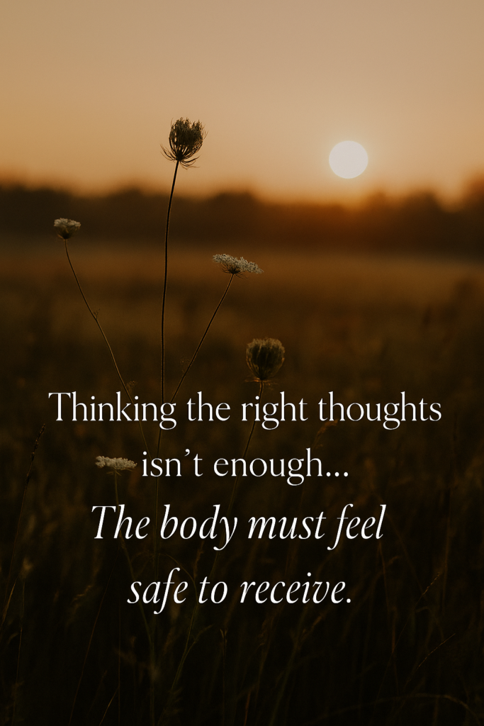 Wildflowers at golden hour with text overlay ‘The body must feel safe to receive’ – evoking the essence of somatic manifestation through nervous system safety